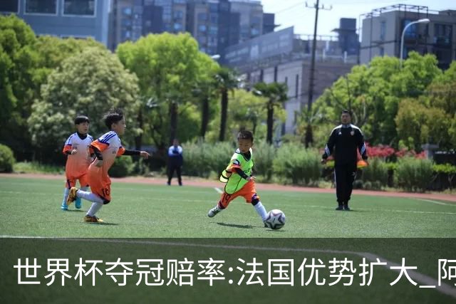 世界杯夺冠赔率:法国优势扩大 阿根廷西班牙紧追